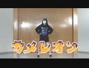 【りこ】カメレオン　踊ってみた