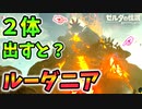 ヴァ·ルーダニアを2体出現させると？【ブレワイ BotW】裏技 バグ 検証 ゆっくり実況 glitch