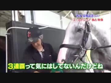 マックイーンと見る三連覇に気にしないゴールドシップ