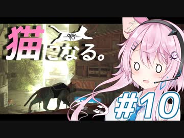 【Stray】フィーちゃん猫になってサイバーシティ探索！＃10【CeVIO実況】