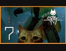 野良猫初心者の『Stray』【実況プレイ／７】