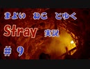 【 Stray 】 迷い猫と行く Stray 実況 Part9 【 ゲーム実況 】