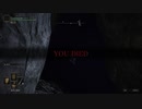 謎の穴【ELDEN RING】14
