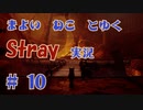【 Stray 】 迷い猫と行く Stray 実況 Part10 【 ゲーム実況 】