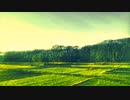朝のラララ