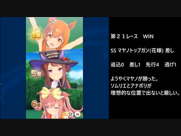 ア ナ ボ リ シ ス タ ー ズ（レオ杯ルムマ検証）