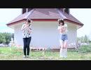 【*ふく´ Д `ざわ*×めこた。】 ぐーぐー　踊ってみた。【家畜】