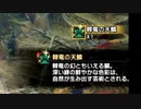 出会って30秒で天鱗くれる竜