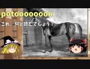 【ゆっくりざっくり解説】元祖珍名馬にしてほぼ全てのサラブレッドの先祖になった馬　potoooooooo