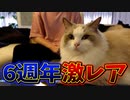 【カメラ】今日でYouTube開設6周年です。ありがとう
