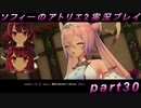 【初見実況】今度は夢の世界で錬金術をする少女の物語 part30【ソフィーのアトリエ2】