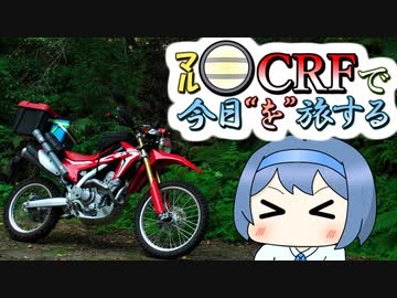 夏の森でラーメンツーリング【丸目CRFと今日”を”旅する】