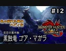 【MHRISE:SUNBREAK】#12 色々疲れた俺のヘビィなサンブレイク！！！