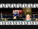 【Wii】Wii Sports　ボクシング　【Wii Sports】