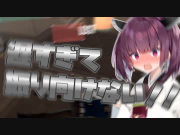 人 権 し か な い振 り 向 き 1 8 0 c m【VALORANT】