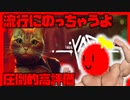【#1】流行にのるにゃーーSTRAY をプレイ【きょんぴーす】
