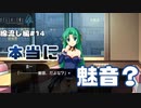 【ひぐらしのなく頃に奉　綿流し編（共通パート）　#14】雰囲気が違うけど本当に魅音？【女性実況】