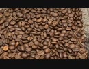 珈琲豆の片手鍋焙煎記録(20220724-1)