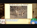 にともみのSCP談話その14