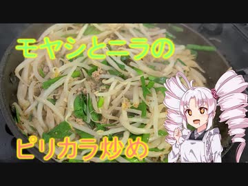アレンジ凄い！モヤシとニラと挽肉のピリ辛バター炒め＃２３
