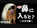 ドイブラン遺跡の全景が見れる！？ルッタの鼻の中に入ると？など小ネタ集【ブレワイ BotW】裏技 バグ 検証 ゆっくり実況 glitch