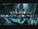 【MHR:SB】超カムラ人琴葉葵のサンブレイク part4