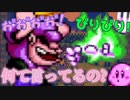 【心で語る】おしゃべりヘルパーと征く『星のカービィSDX』#3【サボテンとハト】