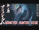 【MONSTER HUNTER RISE】ガンス厨のモンスターハンター。古のぼっちハンターが初見で遊んでいくよ！【Part10 変幻の唐傘】