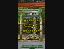 深層日本　木嶋坐天照御魂神社 Deep Japan Konoshima Nimasu Amateru Mitama Shrine  深日本　木島座天所喬達摩神社