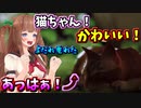 かわいい猫になって大興奮のちえりちゃん【切り抜き】