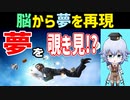 [デコーディング]どんな夢を見ているかわかる!? 脳活動化から夢の再現 [Rue] 脳科学 神谷之康