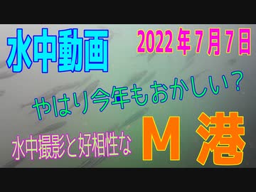 水中動画（2022年7月7日）in M港
