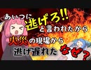 ＃２【ＮＴＲの末路】琴葉茜がウミガメのスープに挑戦！