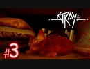 【スラム探索】猫になれる！？サイバーパンクな世界を探索できるADVゲーム『Stray』#3