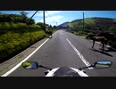 九州ツーリングクラシック#8 都井岬
