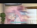 蚊！！！！！！！！【ソフトウェアトーク劇場】