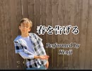 【Kenji】春を告げる　【踊ってみた】11才ハーフ男子