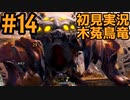 【初見実況】#１４ 新天地　銃槍担ぐ　木菟竜【Monster Hunter RISE SUNBREAK】