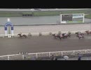2022年7月30日高知競馬5R ＪＢＣ協会協賛高知佐賀スタリオンシリーズ エピカリス賞(準重賞) ゴールドプリンス