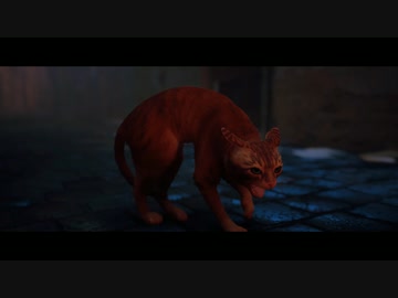 おいニャンニャンニャン！　mp.2