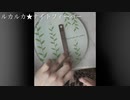 【初投稿】【モノサシスト】ルカルカ★ナイトフィーバー 演奏してみた 【サラダバーコンスープ】