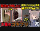 【閲覧注意】検索してはいけない言葉を怖がりが調べてみる！Part23【ゆっくり実況】【ゆっくり解説】