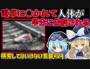 【閲覧注意】検索してはいけない言葉を怖がりが調べてみる！Part24【ゆっくり実況】【ゆっくり解説】