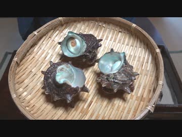 壺焼き【長火鉢とおっさん269】