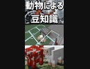ハサミで羊やムーシュルームに対して使う時の豆知識「#shorts 」【minecraft】【マインクラフト】【マイクラ】