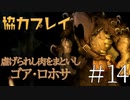 【二人実況】ソウルライク２Ｄアクションを協力プレイでクリアするって言ってんの！｜ソルトアンドサクリファイス　＃14