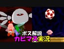 【星のカービィ６４】クリスタルを求めて星々を巡り妖精の星を救え！part２３【実況プレイ】