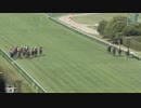 【夏の新潟の風物詩】第22回アイビスサマーダッシュ(GIII) 2022.7.31