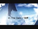 In The Dark /  れじろ × 真麻  feat.知声
