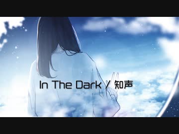 In The Dark /  れじろ × 真麻  feat.知声